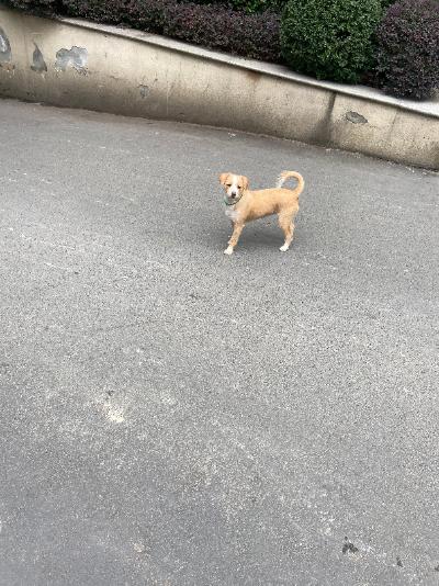 多多 (120).jpg
