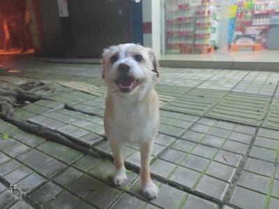 多多 (166).jpg