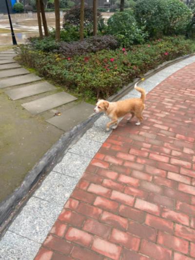 多多 (171).jpg