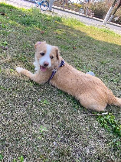 多多 (21).jpg