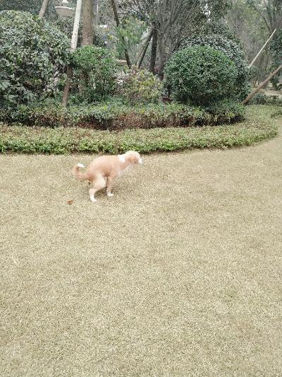多多 (328).jpg