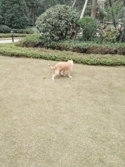 多多 (330).jpg