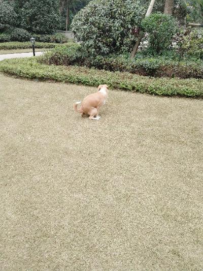 多多 (333).jpg