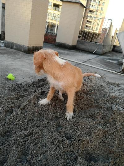 多多 (386).jpg