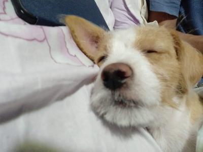 多多 (426).jpg