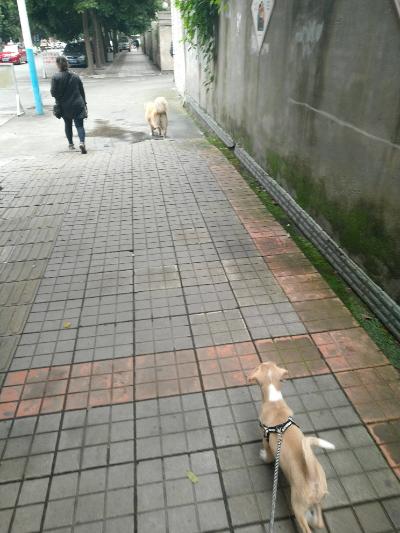 多多 (452).jpg