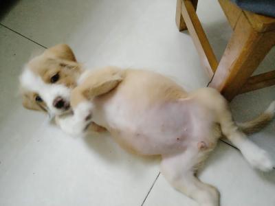 多多 (489).jpg