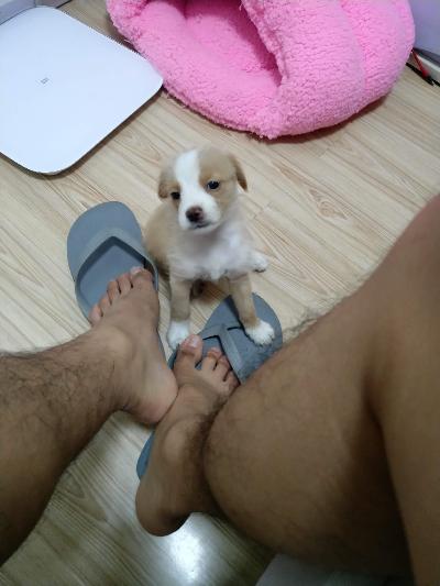 多多 (509).jpg