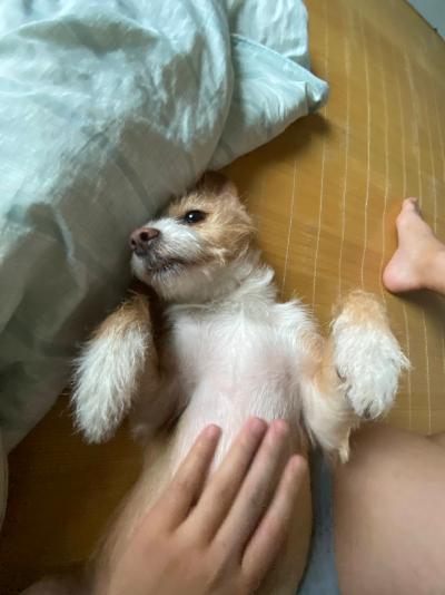 多多 (526).JPG