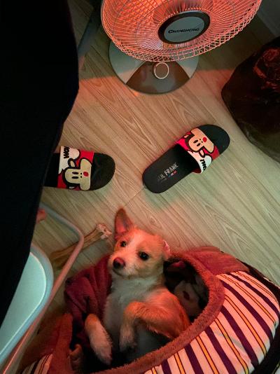 多多 (97).jpg