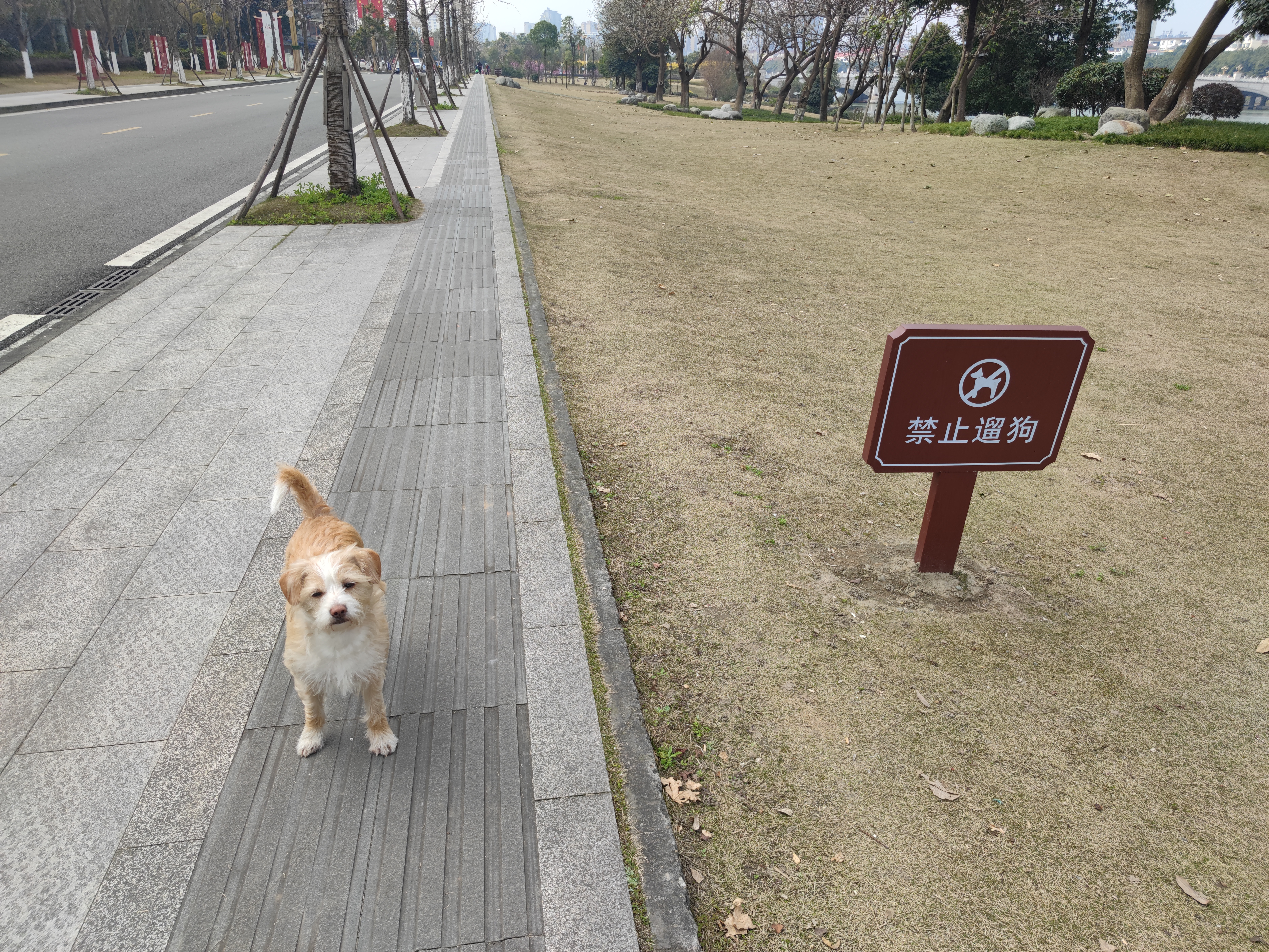 多多2022年3月 (1).jpg