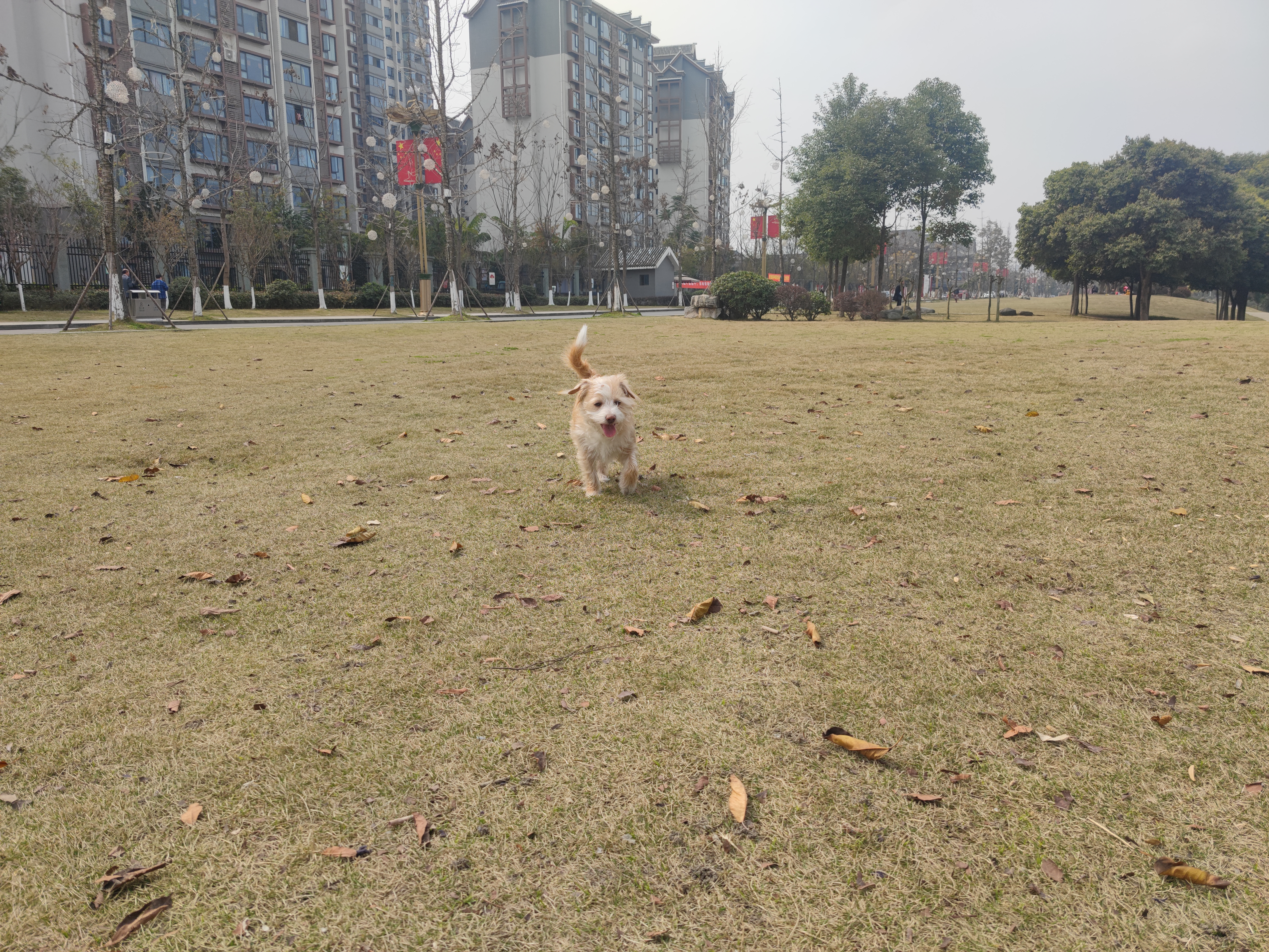 多多2022年3月 (10).jpg