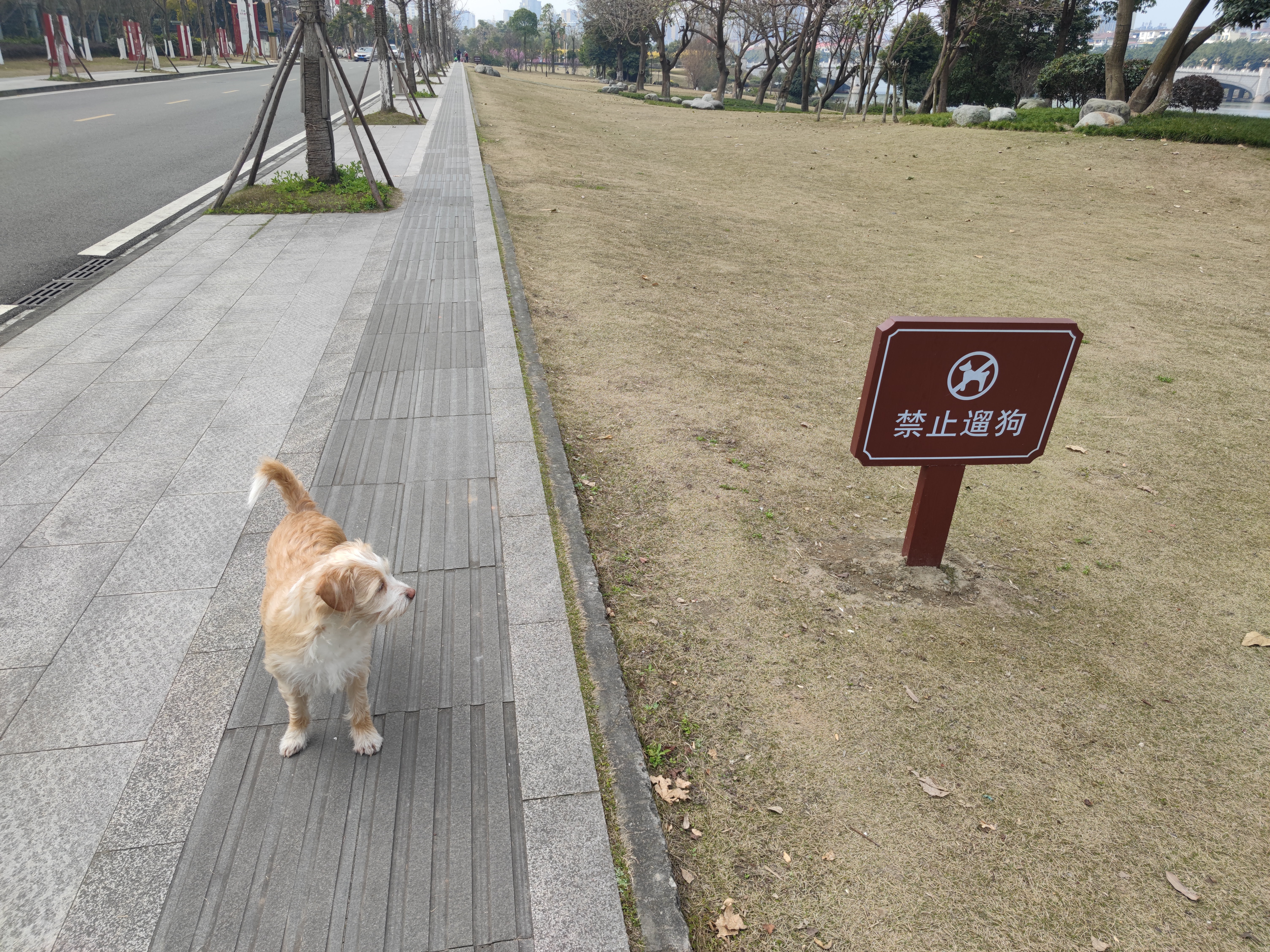 多多2022年3月 (2).jpg