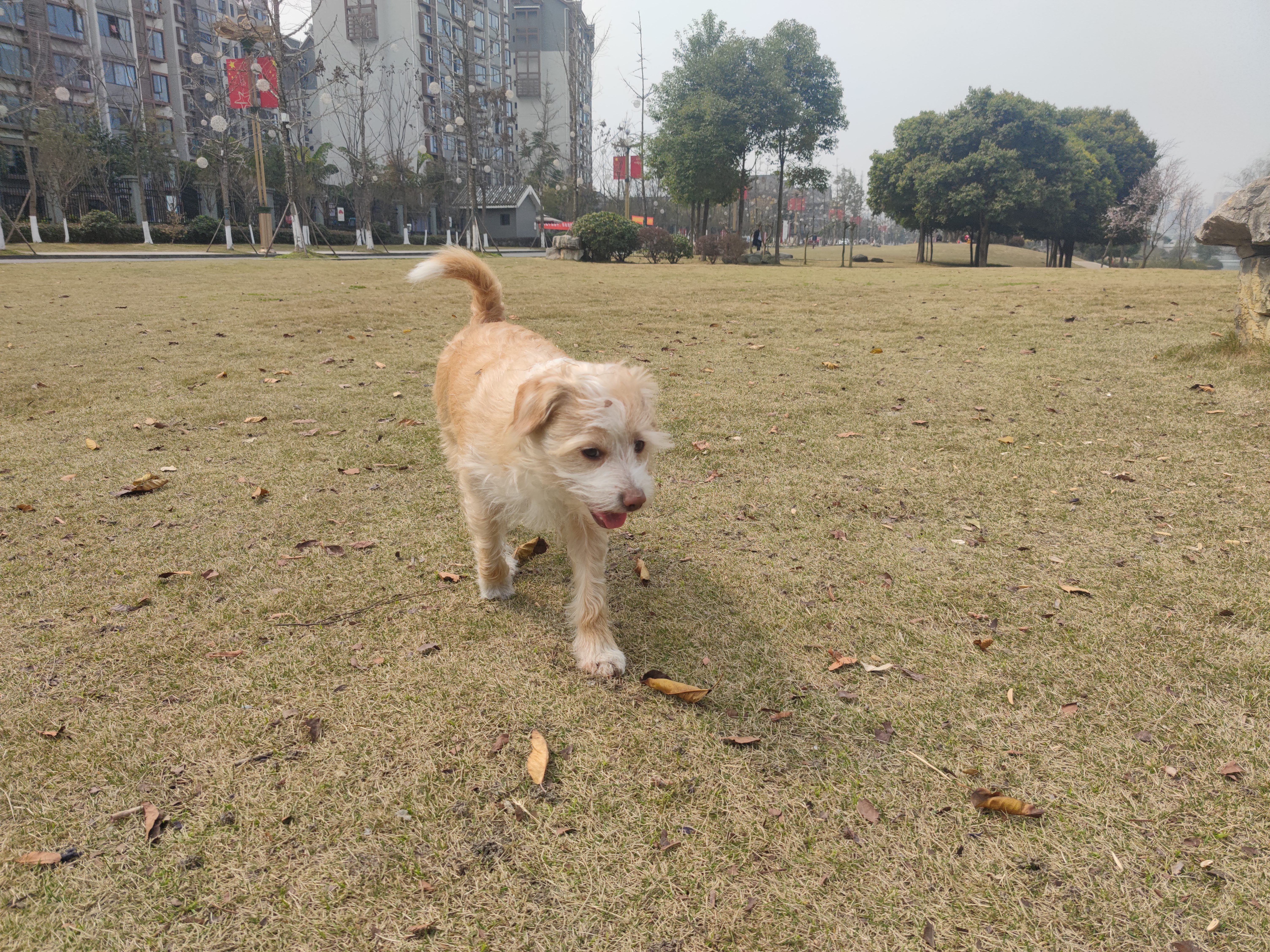 多多2022年3月 (3).jpg