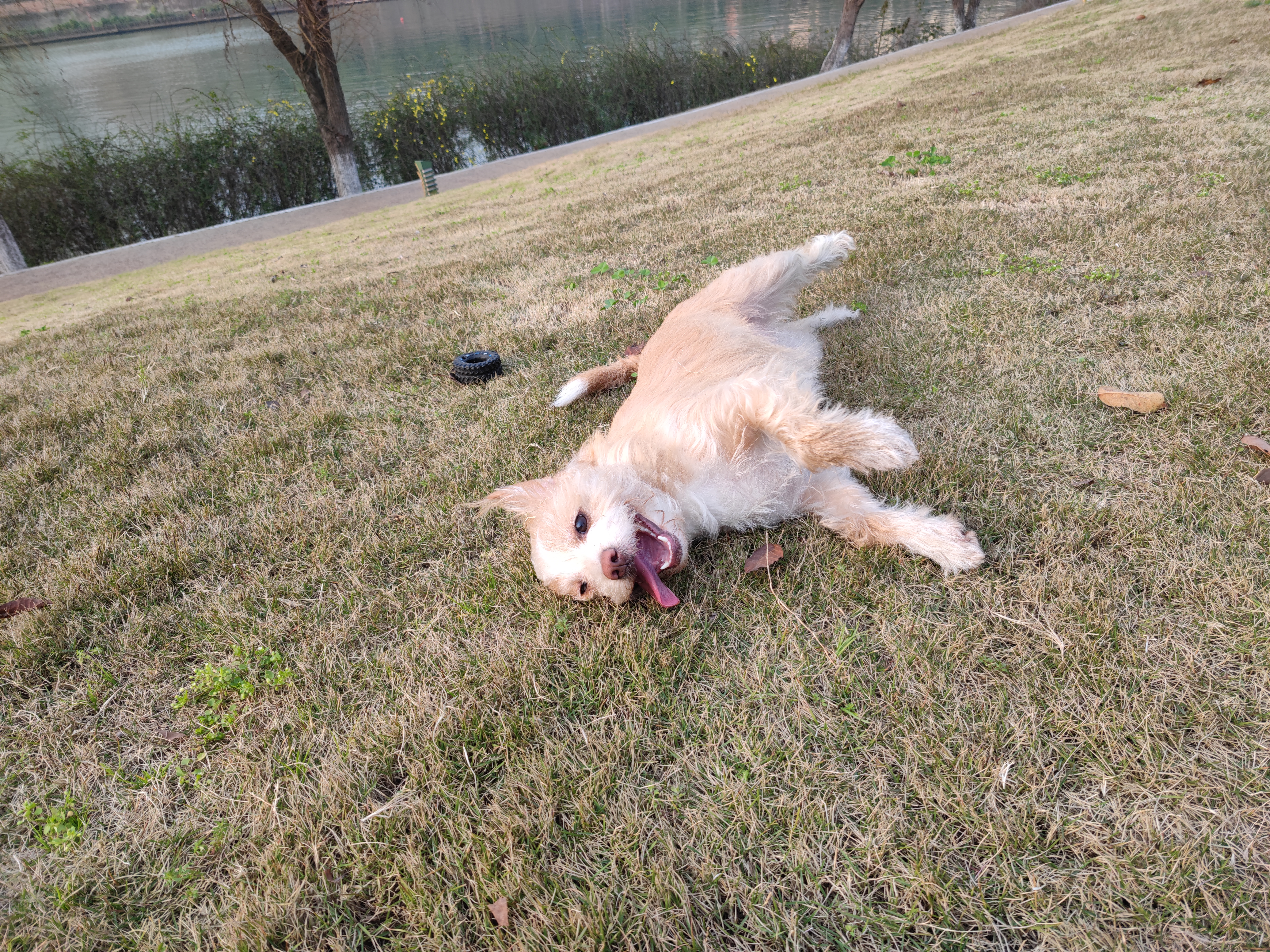 多多2022年3月 (4).jpg