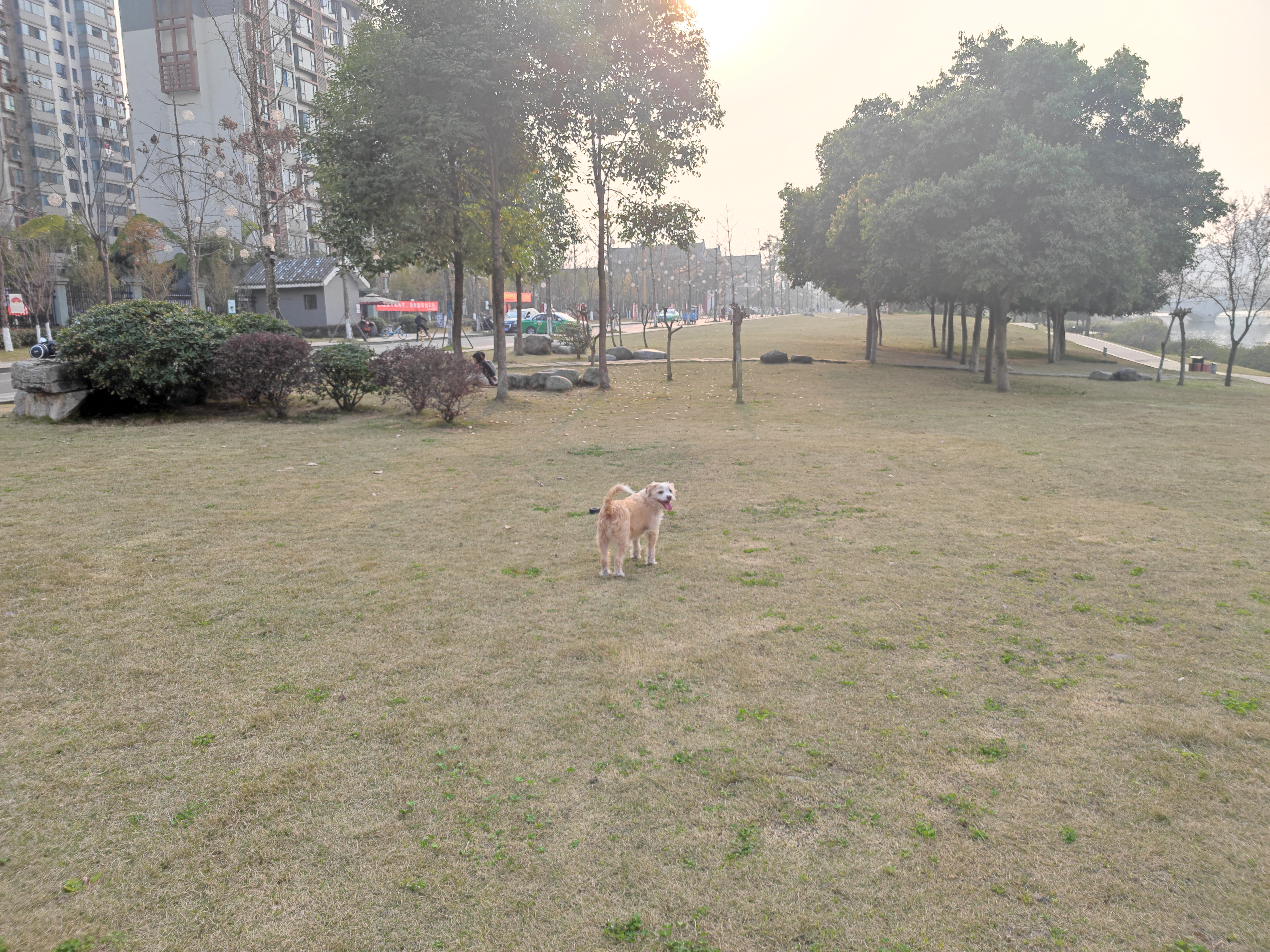 多多2022年3月 (6).jpg