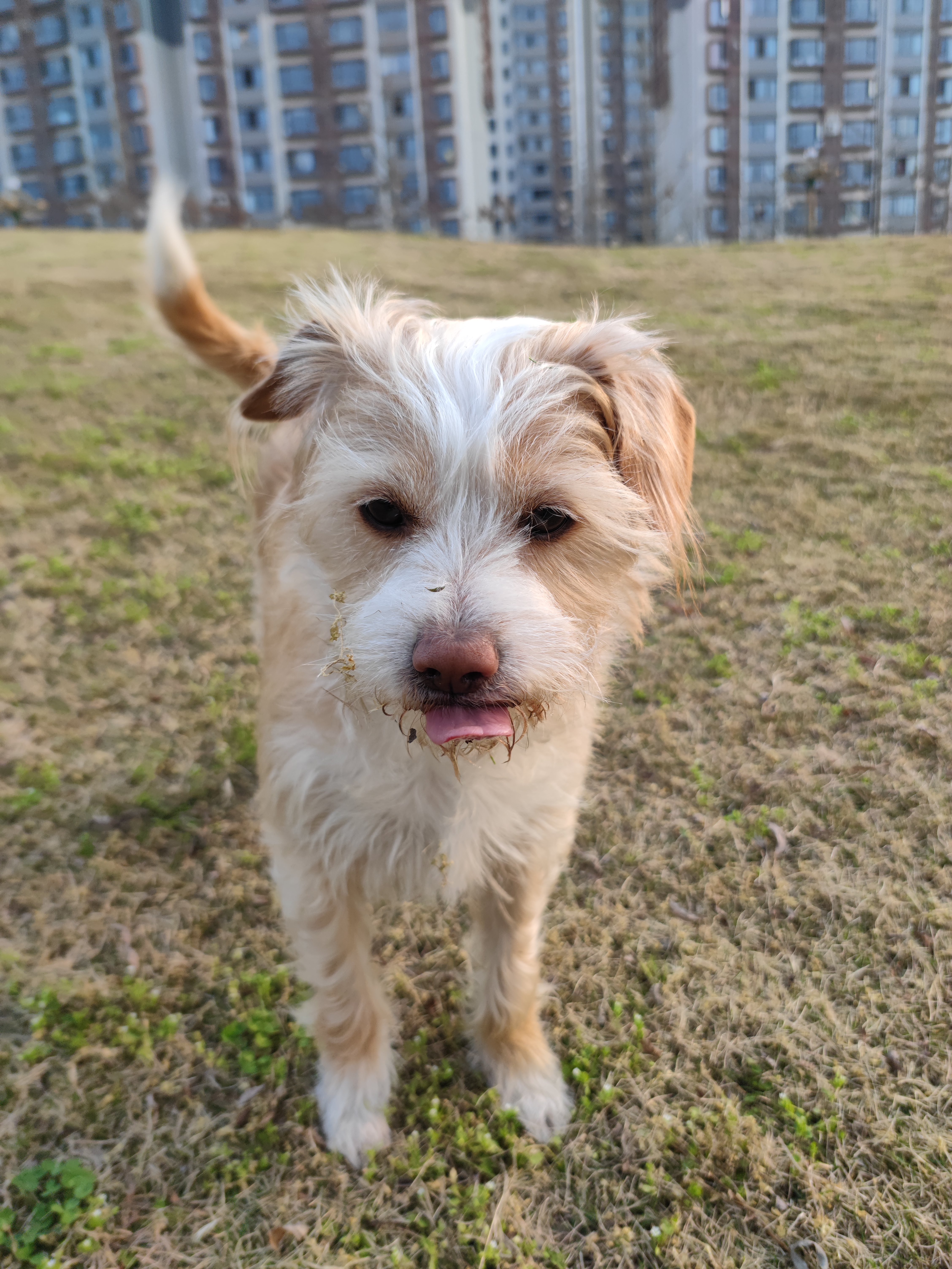 多多2022年3月 (7).jpg