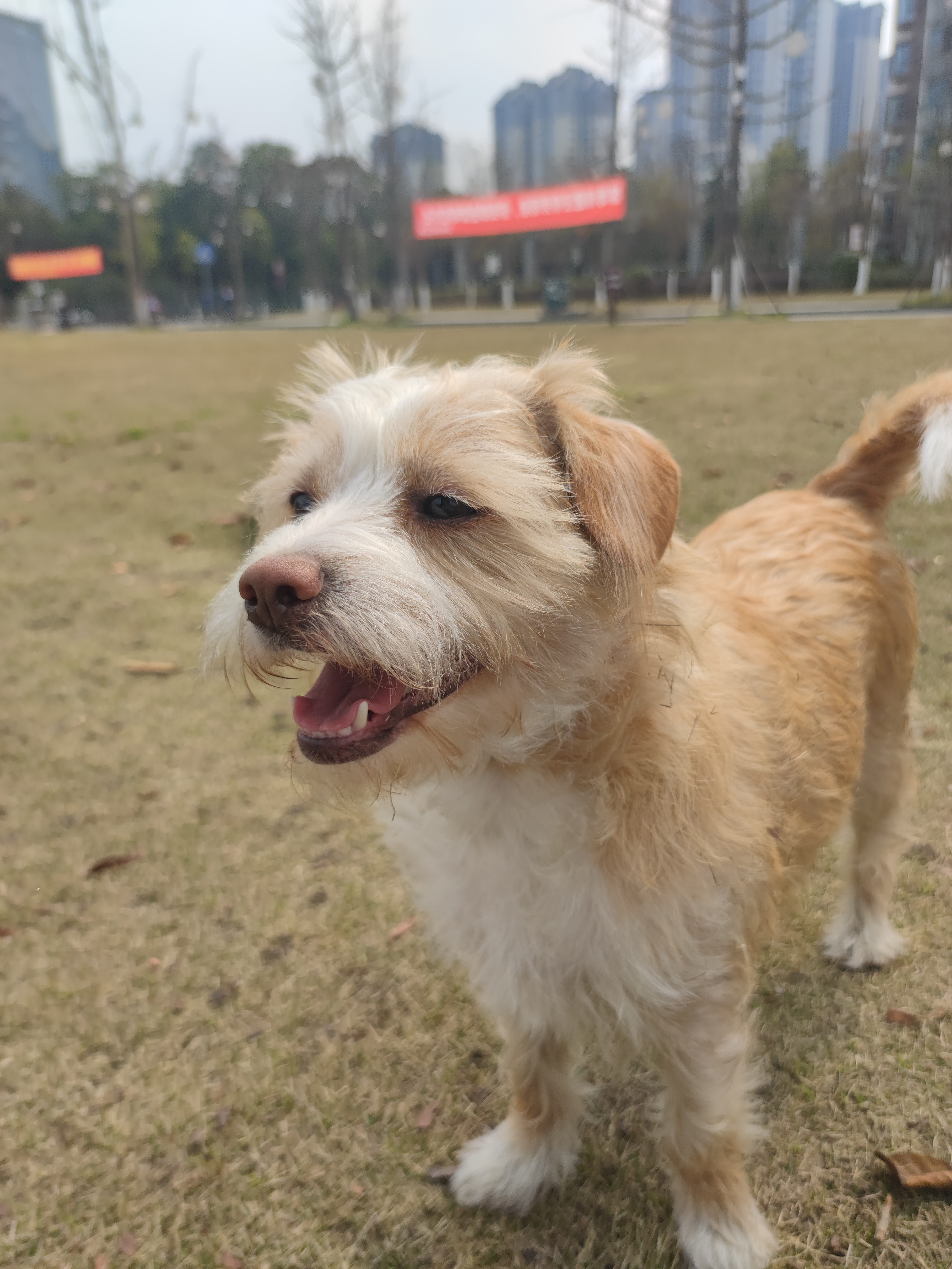 多多2022年3月 (8).jpg