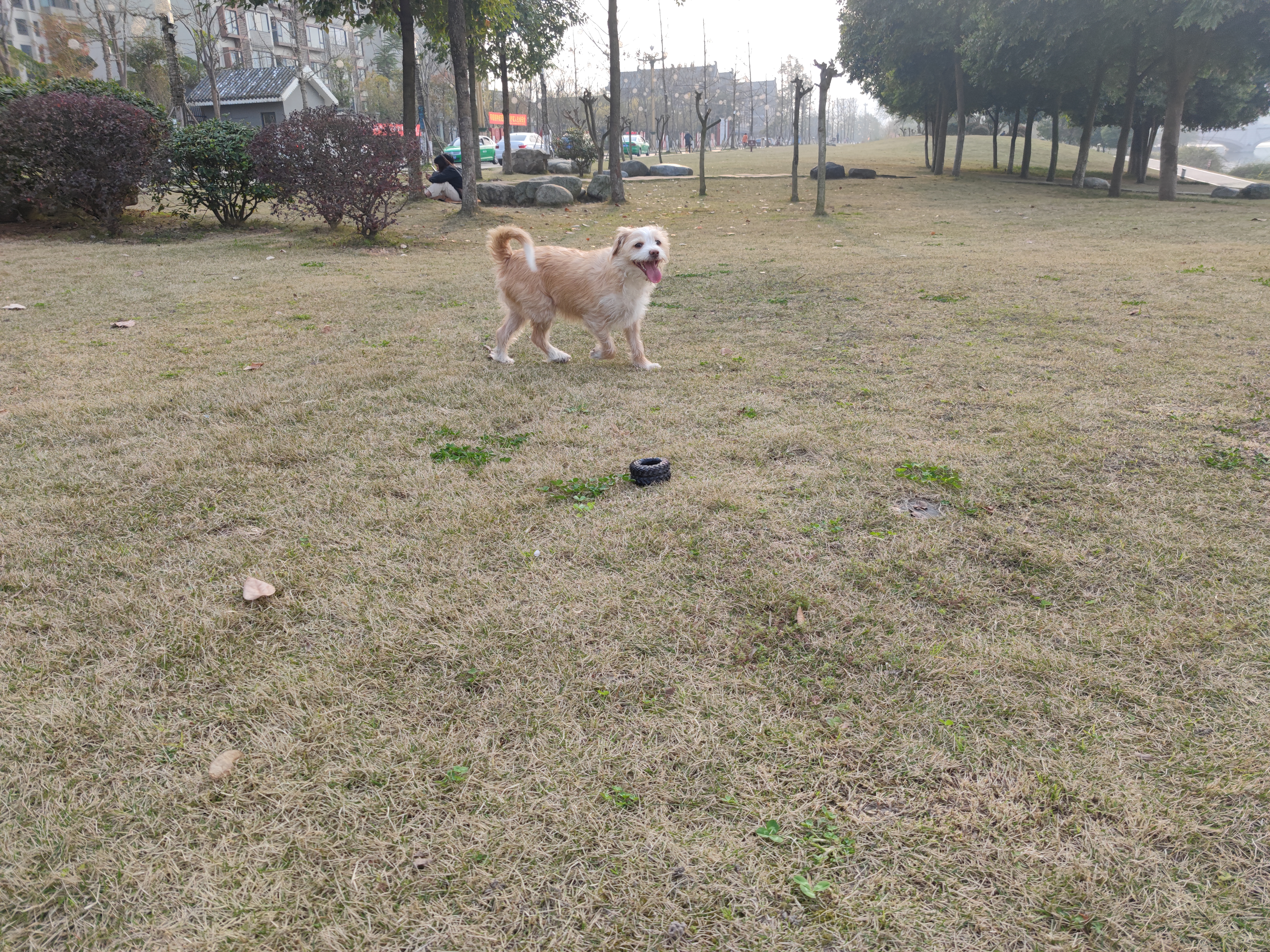 多多2022年3月 (9).jpg