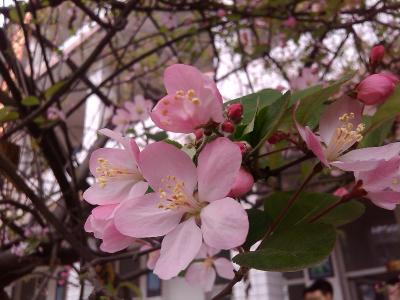 思蒙高中22.jpg