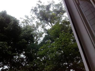 思蒙高中3.jpg