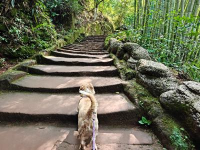 青神县中岩寺3.jpg